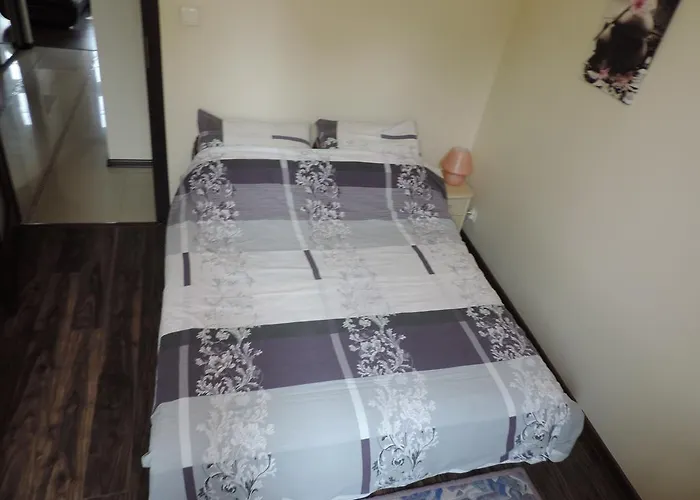 Gdanskie - - Dluga Z Widokiem Na Ratusz I Nad Motlawa *